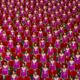 Image for article titled This Travel App Is the Closest You'll Ever Get to North Korea